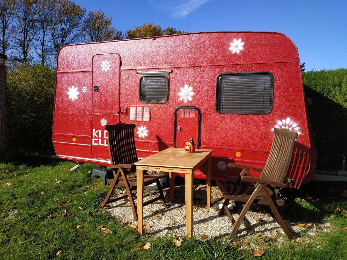 Projekt Ferienhaus Am See Inkl. W-Lan, Betwaesche Und Netflix Jurgenshagen エクステリア 写真